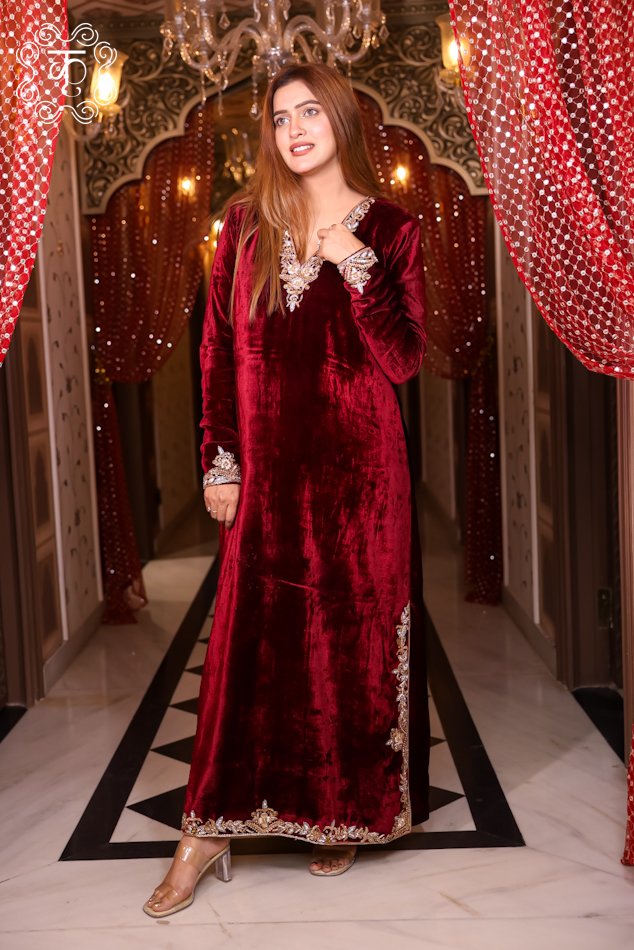 Velvet Hand-Embroidered Straight Dress - Image 2