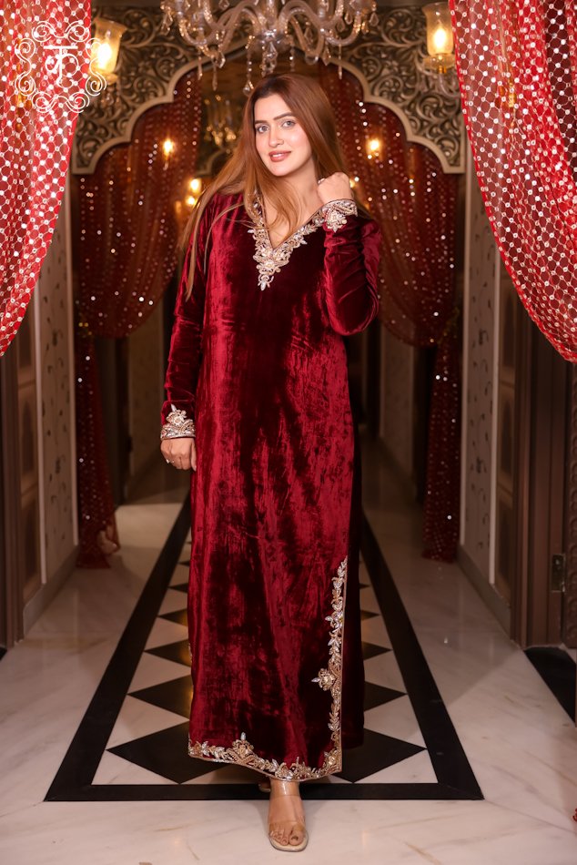 Velvet Hand-Embroidered Straight Dress - Image 4